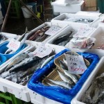 口内炎はこれで治す！効き目のある食材とは？