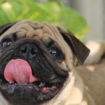 「舌の位置」を変えるだけで健康になる！？正しい舌の位置マスターしよう！