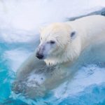 冷え性だと、歯周病や口内炎が悪化する！？