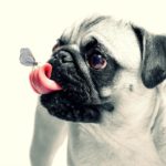 滑舌の悪い人は、長生きできない!? 滑舌改善の４つのポイント